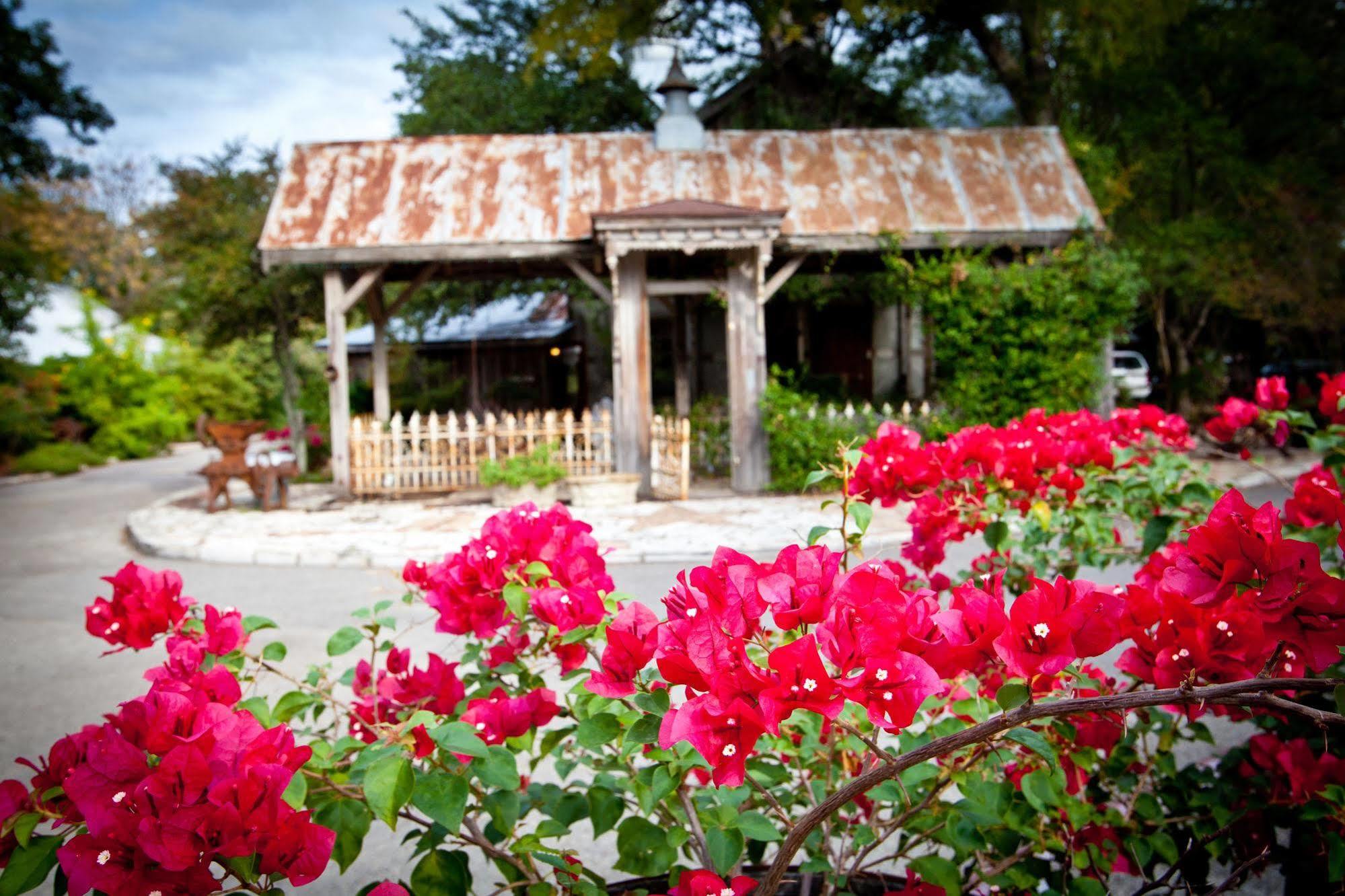 Gruene Mansion Inn Нью Браунфелс Экстерьер фото